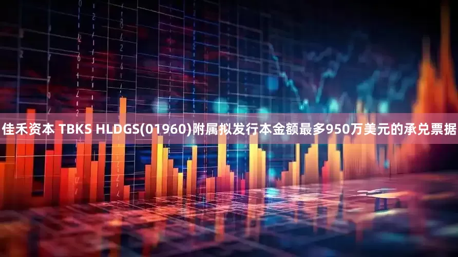 佳禾资本 TBKS HLDGS(01960)附属拟发行本金额最多950万美元的承兑票据