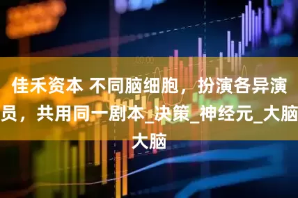 佳禾资本 不同脑细胞，扮演各异演员，共用同一剧本_决策_神经元_大脑