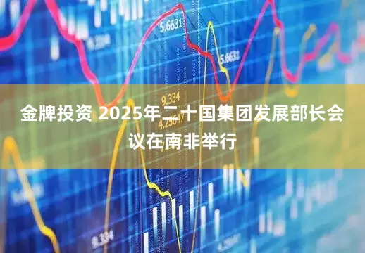 金牌投资 2025年二十国集团发展部长会议在南非举行