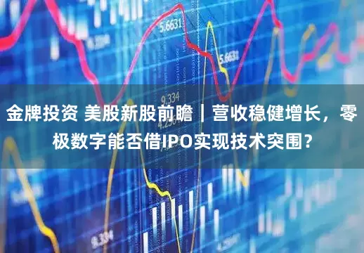 金牌投资 美股新股前瞻｜营收稳健增长，零极数字能否借IPO实现技术突围？