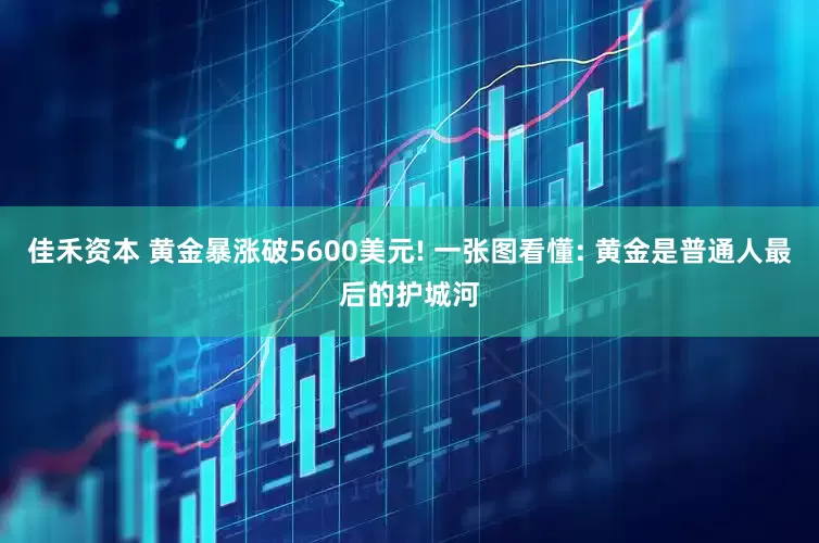 佳禾资本 黄金暴涨破5600美元! 一张图看懂: 黄金是普通人最后的护城河