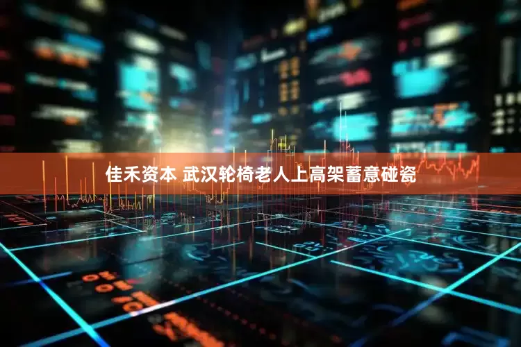 佳禾资本 武汉轮椅老人上高架蓄意碰瓷